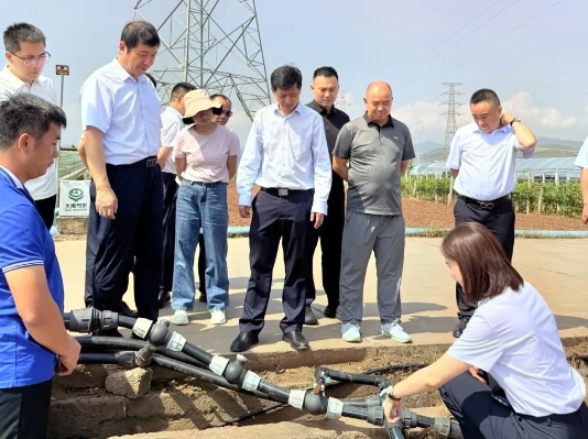 202507241753320463510257.png image.png