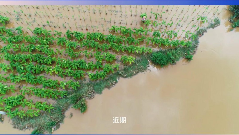 大禹节水：严阵以待，共筑防汛抗旱屏障