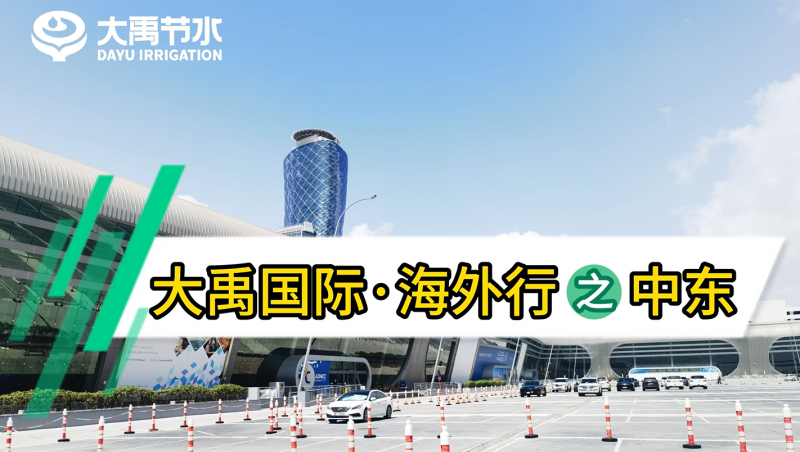 大禹国际·海外行之中东