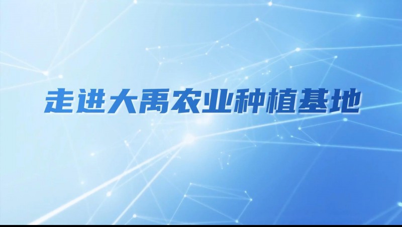 大禹农业| 多元化种植基地矩阵，探索农业现代化新路径