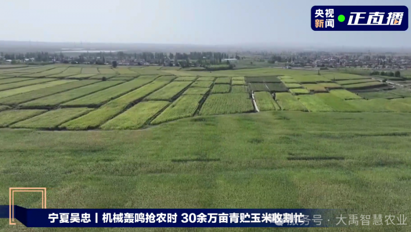 【媒体聚焦】大禹节水以智慧农业技术，为 30 万亩青贮玉米丰收 “添动力”